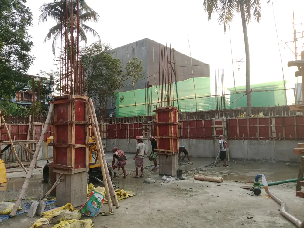 Panacea India office notice December 2024